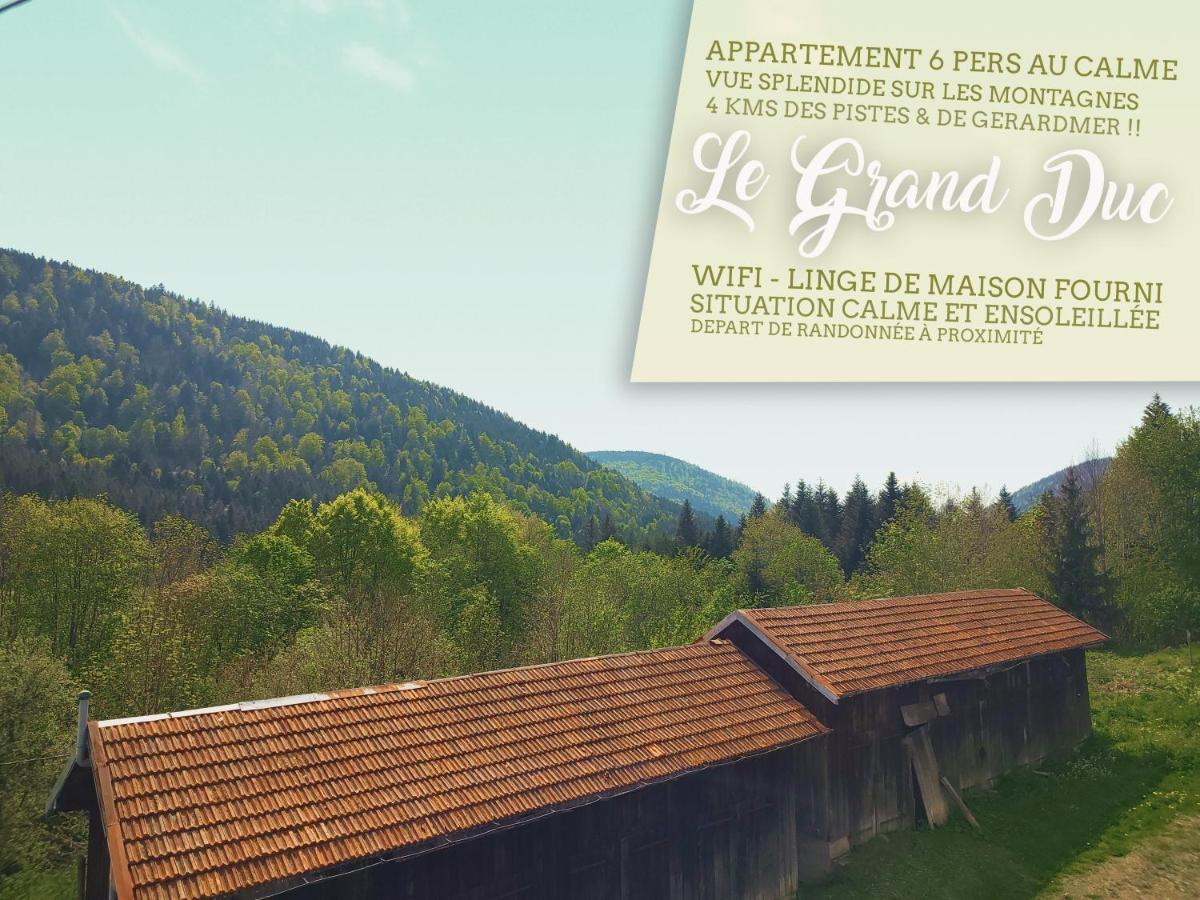 ⁂⁂ Le Grand Duc Appartement Cledicihome / Magnifique Vue Sur Les Montagnes / 4 Kms De Gerardmer ! ⁂⁂ Rochesson Екстер'єр фото