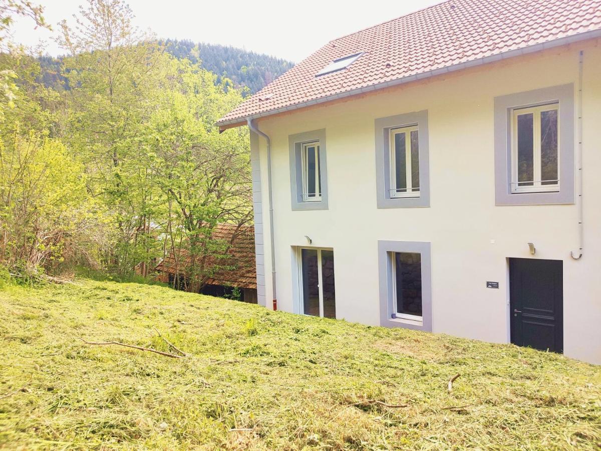 ⁂⁂ Le Grand Duc Appartement Cledicihome / Magnifique Vue Sur Les Montagnes / 4 Kms De Gerardmer ! ⁂⁂ Rochesson Екстер'єр фото